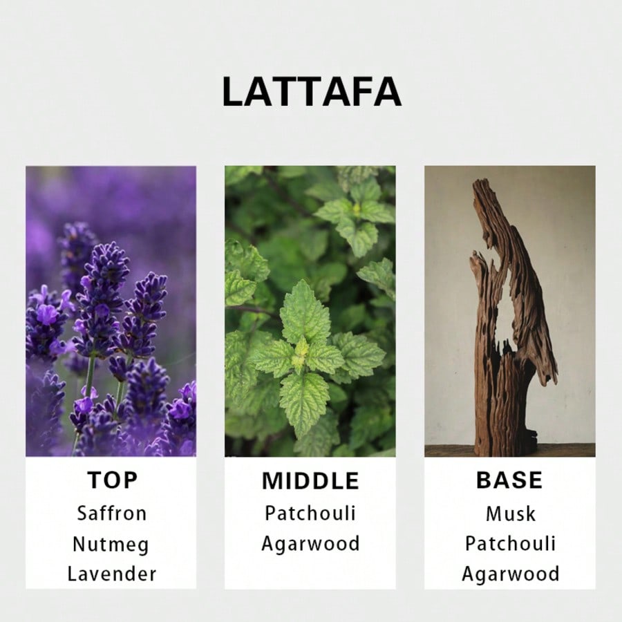 Lattafa Badee Al Oud For Glory - Perfume And Fragrance บทวิจารณ์และราคา